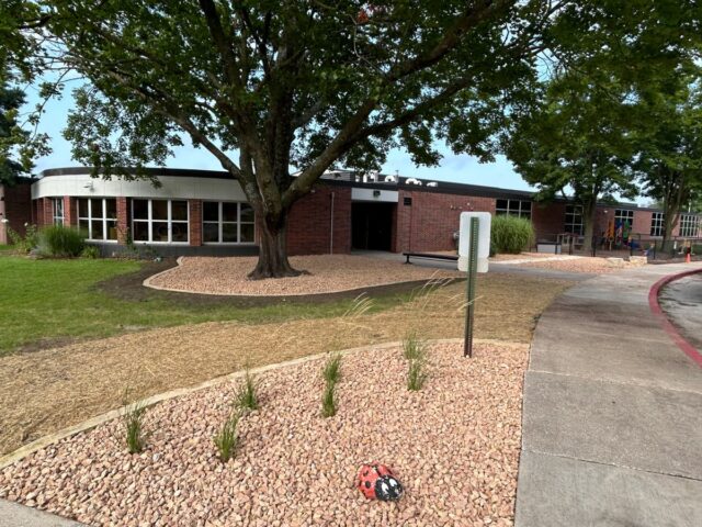 school with rock landscape areas with brick border, small plants and large tree
